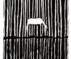 « Längs med gränsen » Mats Berglund trio